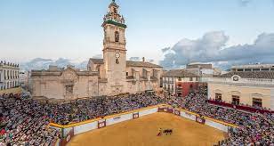 Los mejores Preparadores de oposiciones en Algemesí