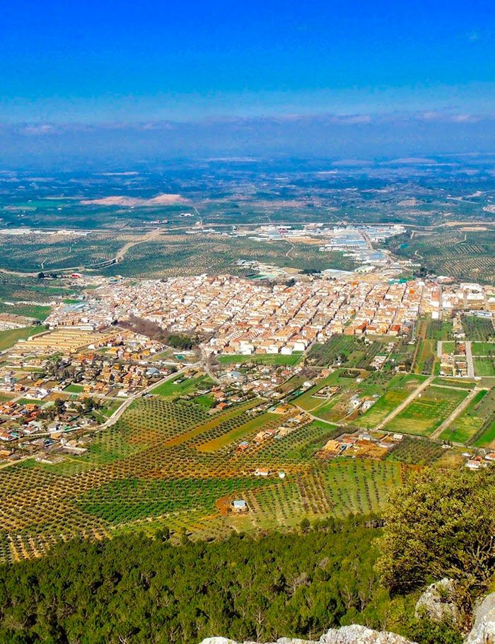 Academia de Oposiciones destacada en Mancha Real