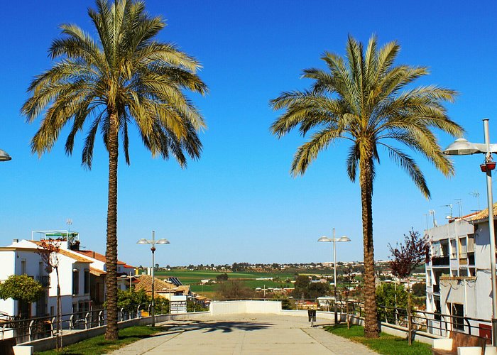 Academia de Oposiciones destacada en La Carlota