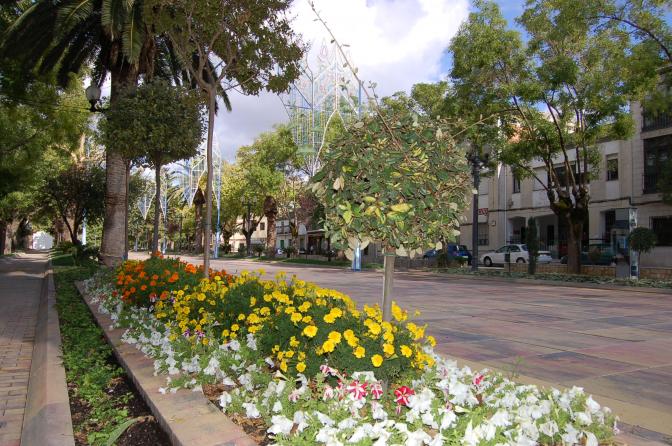 Academia de Oposiciones destacada en Villacarrillo