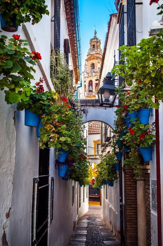 Academia de Oposiciones destacada en Córdoba