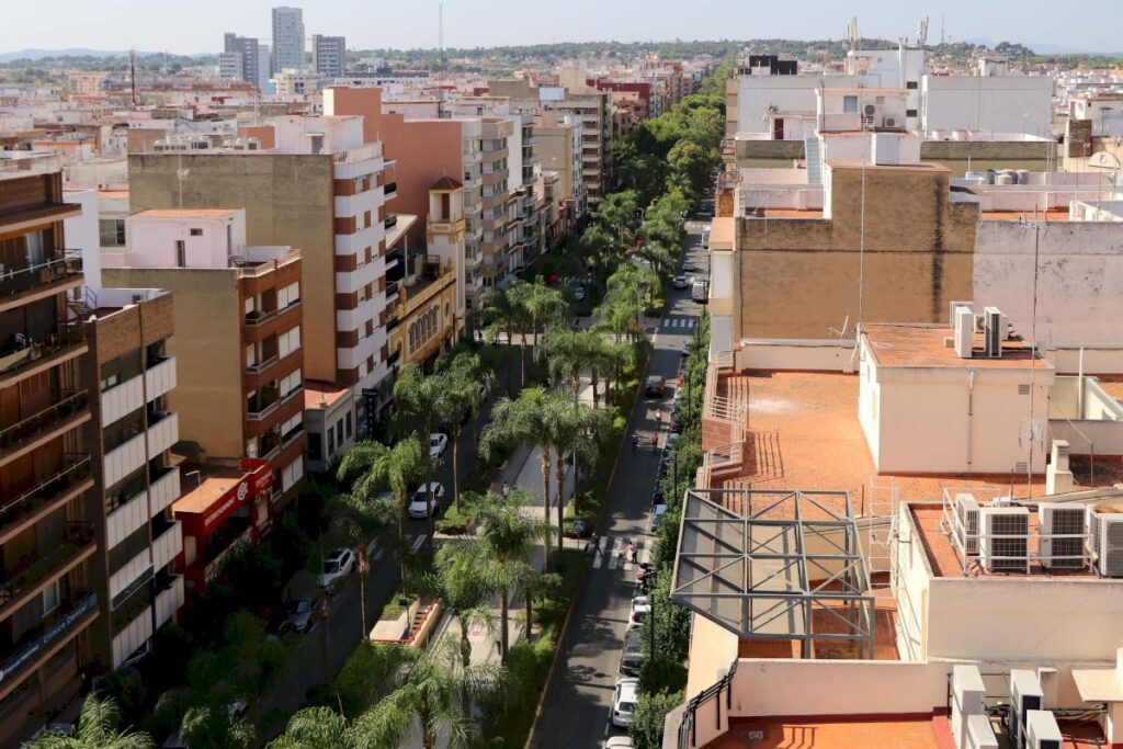 Los mejores Preparadores de oposiciones en Torrent